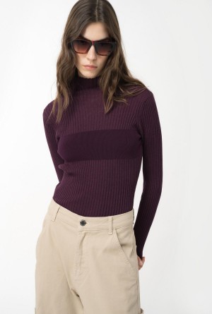 Pinko Acanalado knit turtleneck Morados | AMXWC29473