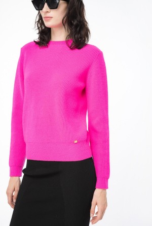 Pinko Acanalado wool and cashmere sweater Rosas | BMXSO68617