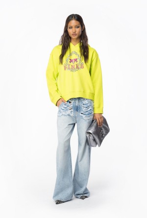 Pinko Hoodie with Vintage Frame print Amarillos | EMXHC97115