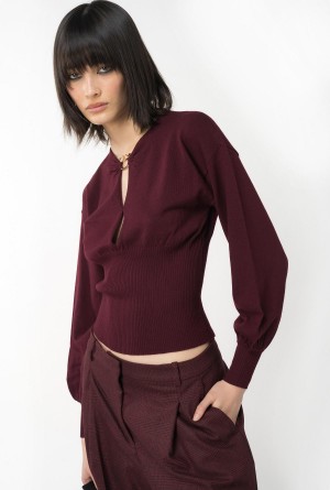 Pinko Lana sweater with Love Birds buckle BURGUNDY-PORT ROYALE | MXZDE92072